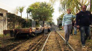 Tren fuera de control: tres vagones del Belgrano Cargas descarrilaron destrozando todo a su paso