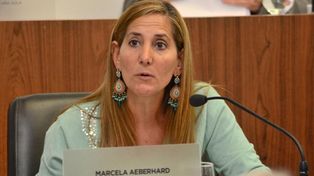 Quita de fondos nacionales al Alassia: “Es un retroceso enorme”