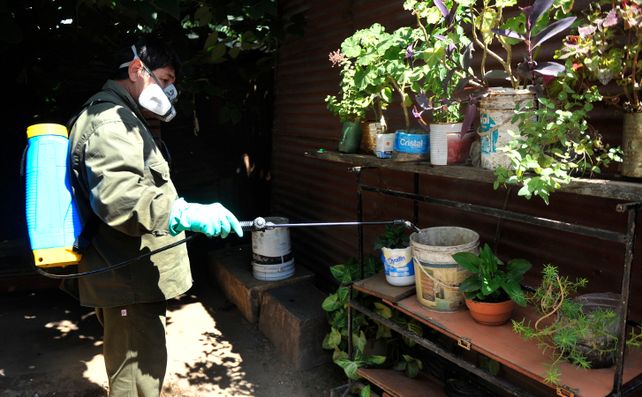 Ghirardi: Rosario ya tiene un plan integral de prevención y atención contra el dengue