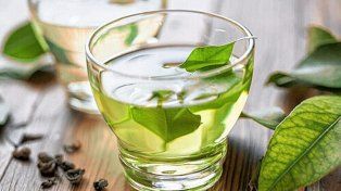 La propuesta. Buscó resignificar la idea de que no todo lo natural es inocuo y la importancia de la identificación de las plantas medicinales.