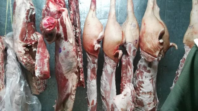 WhatsApp Image 2018-12-15 at 11.48.52 (1)