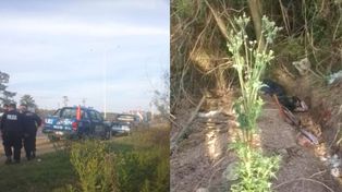 Hallaron el cuerpo de un hombre que murió electrocutado al intentar robar cables en la Ruta Nacional 19