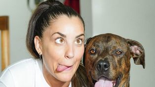 Día del Animal: Rosario consolida su perfil como ciudad de mascotas