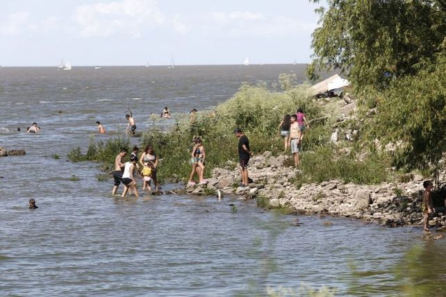 Ríos y lagunas de Santa Fe, Buenos Aires, Córdoba y Entre Ríos albergan algas tóxicas