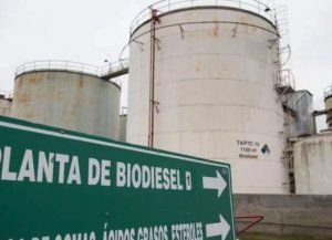 Biodiésel en Santa Fe: mejoran precios, la soja promete y esperan una reactivación exportadora