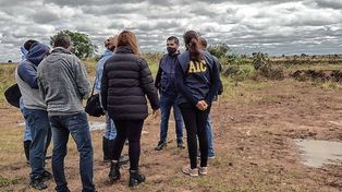 Hallaron el cadáver del novio de la chica encontrada muerta el domingo