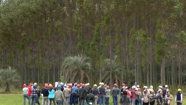 Participantes de la XXIX edición de las Jornadas Forestales de Entre Ríos. Foto INTA.&nbsp;