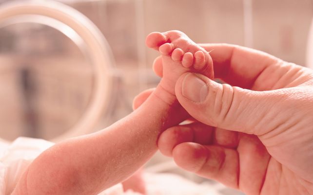 Cuidados centrados en el bebé y su familia: cómo cambió el modelo de atención neonatal