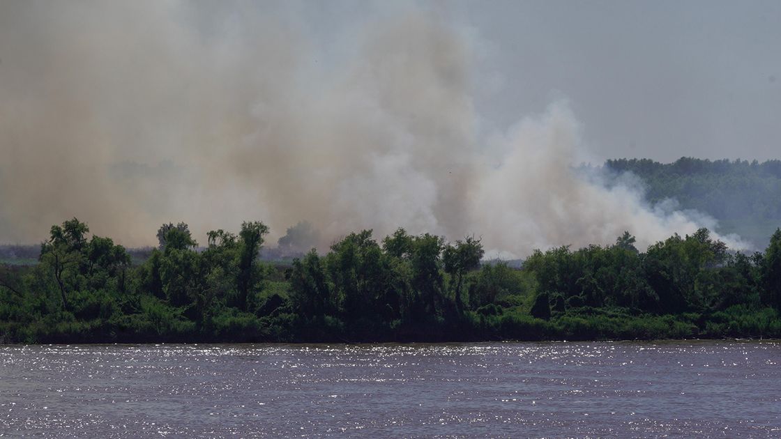 Los incendios empezaron a ganar terreno desde el último martes.