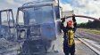 Un camión que transportaba aserrín se incendió en la ruta 14