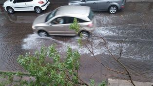 Por el temporal la EPE atendió numerosos reclamos y continúa normalizando el servicio