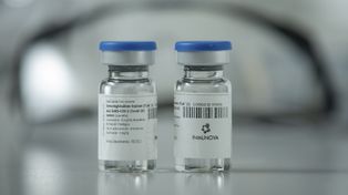 Suero equino hiperinmune: las claves del nuevo tratamiento contra el Covid-19