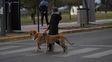 El tiempo en Rosario: llega un jueves gris con leve recuperación térmica