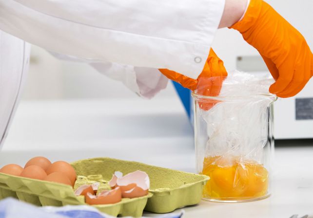 Los huevos fueron contaminados con un insecticida.