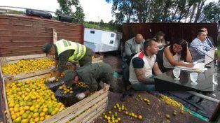 El cargamento de droga iba oculto entre un cargamento de mandarinas.