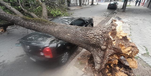 Un automóvil fue aplastado por un árbol en Junín y Mar del Plata en la zona norte de Rosario.&nbsp;