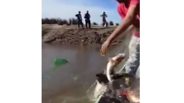 Preocupa la pesca depredadora en río Gualeguay