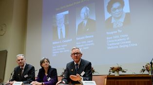 Un irlandés, un japonés y una china ganaron el Nobel de medicina