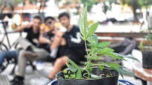 Marcha Mundial de la Marihuana en Santa Fe