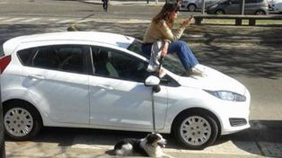 Vio que un auto estaba mal estacionado y esperó a su dueño para retarlo