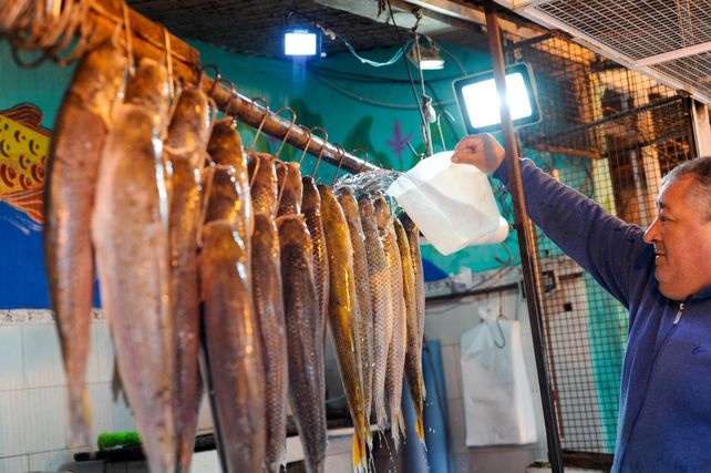 Promover el consumo local de pescado y mejorar las cadenas de comercialización de cercanía son parte de las estrategias para mejorar la situación del sector.