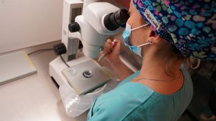 Mes de la Fertilidad: ¿qué respuestas tiene la medicina reproductiva?