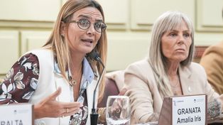 Amalia Granata, convencional constituyente
