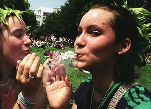 California legalizó la marihuana para uso recreativo y Florida para fines medicinales