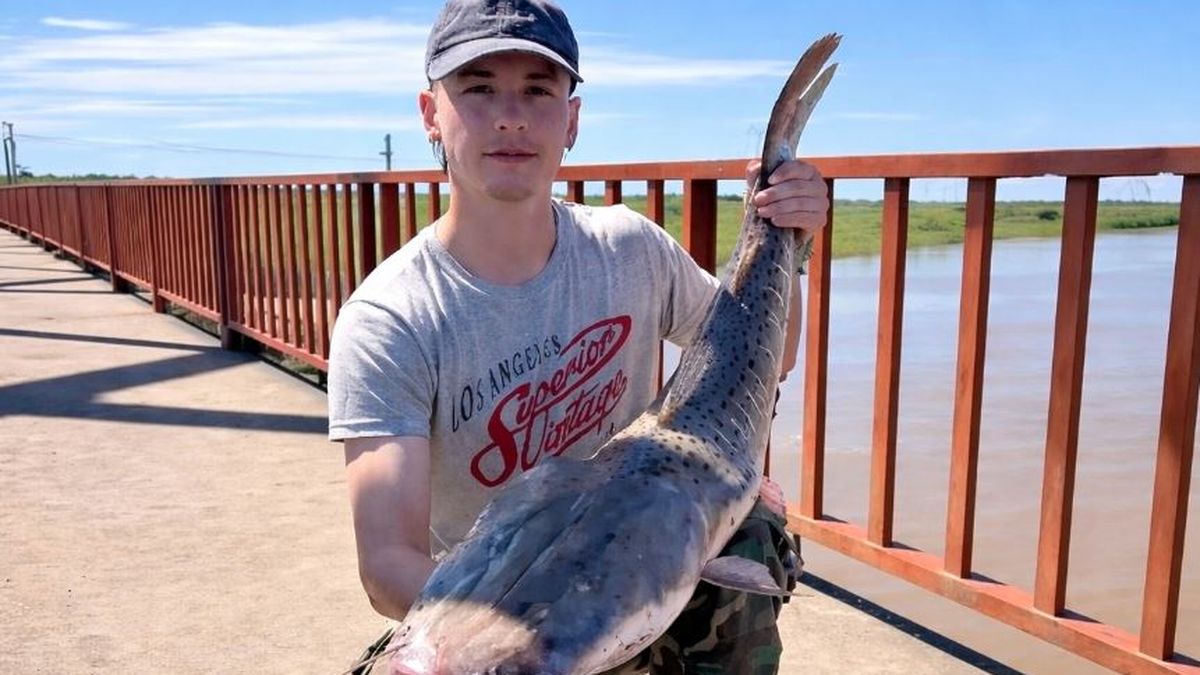 Un joven de Santo Tomé sacó un surubí de casi 10 kilos desde el puente ...