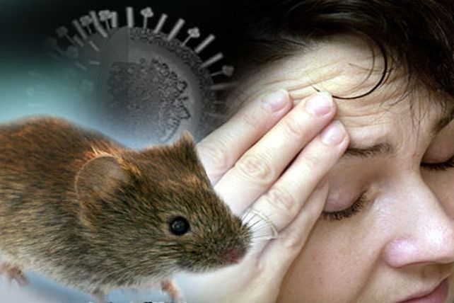 Joven murió en un posible caso de hantavirus en la provincia