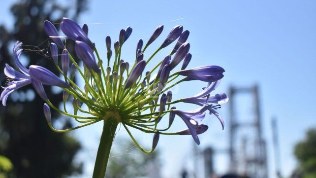Arranque de semana con calor e inestabilidad en la ciudad de Santa Fe