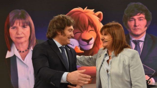 Milei: La campaña fue dura