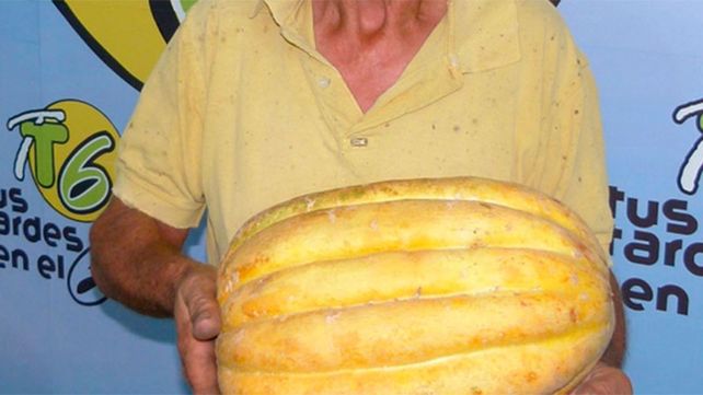 Un crespense cosechó un melón de más de siete kilos