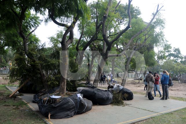 Afirman que el proyecto de cocheras pone en valor el Parque Alberdi