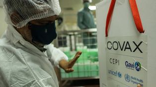 Covax: el fracaso de un proyecto para hacer equitativa la distribución de vacunas