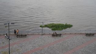 El río Paraná recupera caudal y ya creció un metro y medio en un mes