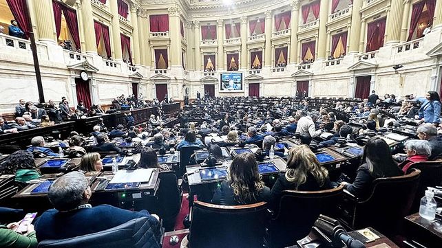 Se retoma la sesión en la Cámara de Diputados para seguir debatiendo la Ley Ómnibus que fuera votada afirmativamente