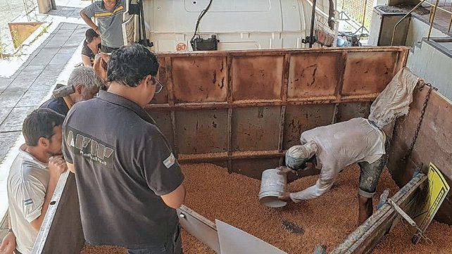 Aduana detectó 87 kilos de cocaína ocultos en un camión