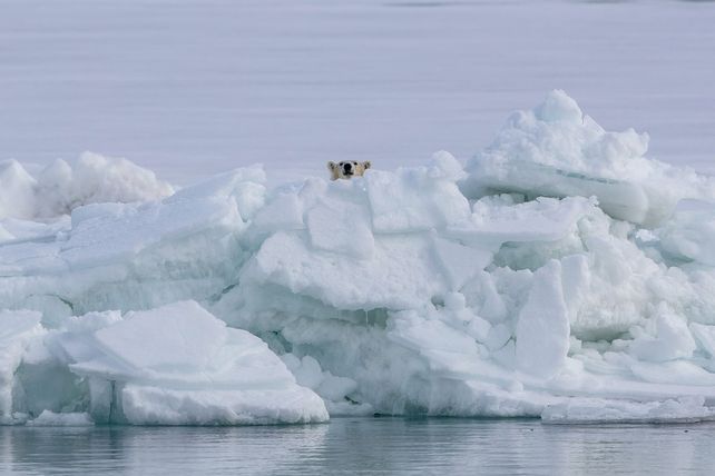 Foto. Gentileza CGTN en Español.