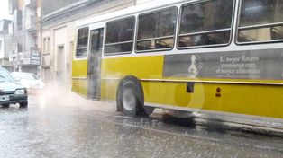 La lluvia llegó de madrugada y se quedará al menos hasta el miércoles en toda la región