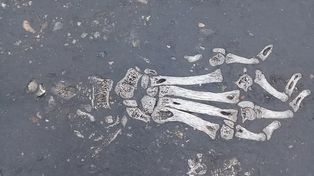 Un misterioso hallazgo en la Ruta 11: ¿de qué se trata?