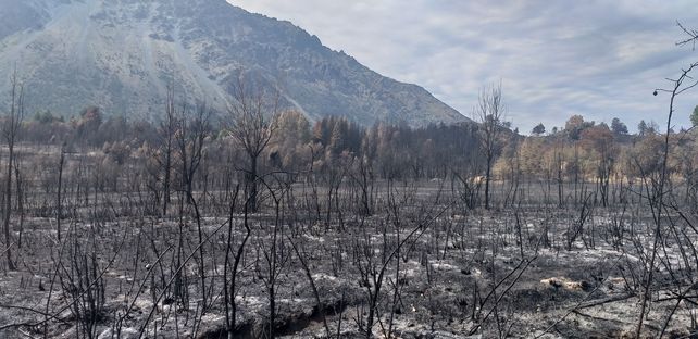 Impactantes imágenes de las áreas afectadas por los incendios en la Patagonia