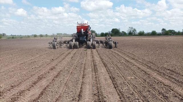 Arrancaron los ensayos de maíz y soja  en el PT Farm