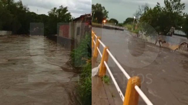 Diluvia en Paraná y la región: árboles caídos, calles anegadas y arroyos desbordados