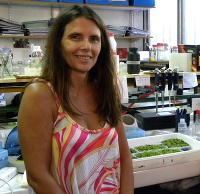 Paula casati. Es necesario dejar de estigmatizar al científico