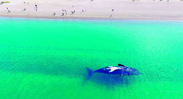 Ranking: las 10 mejores playas de la Argentina