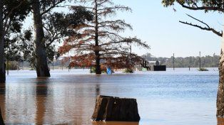 Por la crecida del río Uruguay en Concordia hay cuatro familias evacuadas. Tres fueron trasladas a casa particulares y una persona a un centro de evacuados&nbsp; 