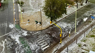 Una tormenta de viento y granizo generó destrozos en Bahía Blanca