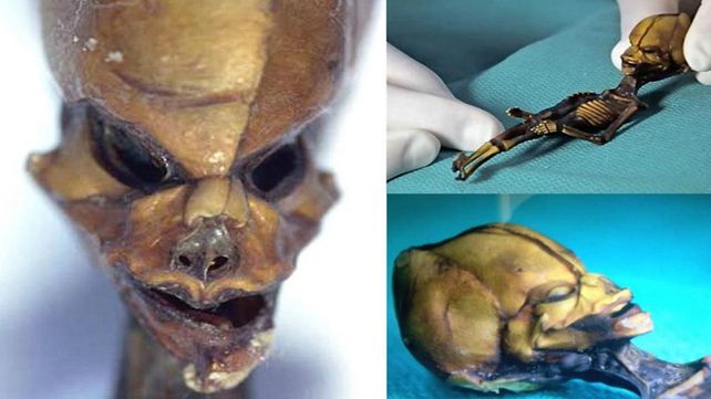 El gran descubrimiento y misterio sobre un supuesto alien
