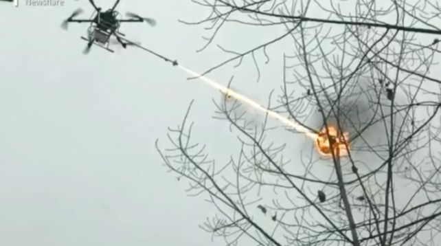 En acción. Un dron lanza una llama para eliminar el nido de las avispas.